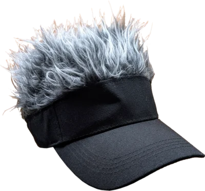 VISERA SEB