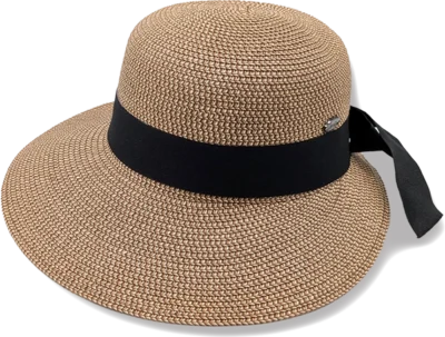 VISERA TOUCH